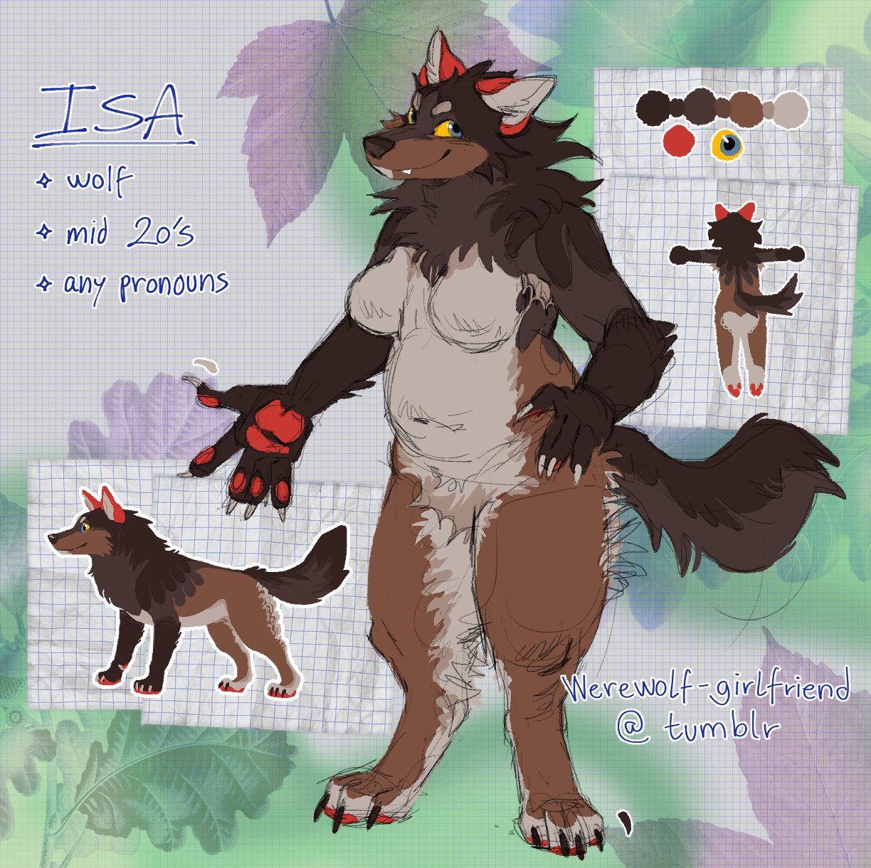 A reference sheet for a brown wolf fursona.